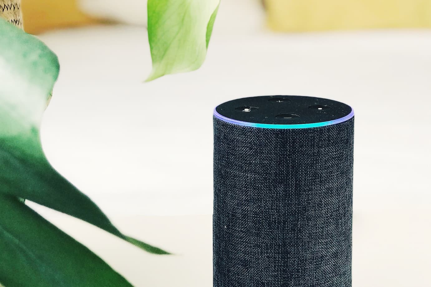 Amazon Alexa device